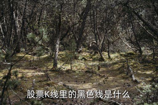 股票K线里的黑色线是什么