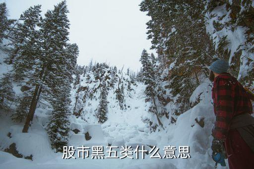 股市黑五类什么意思