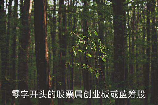0开头是什么类的股票，0字头股票是什么