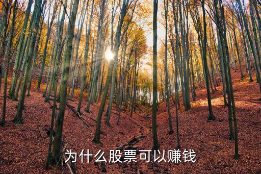 为什么股票可以赚钱