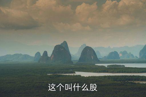 这个叫什么股