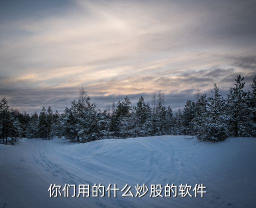 你们用的什么炒股的软件
