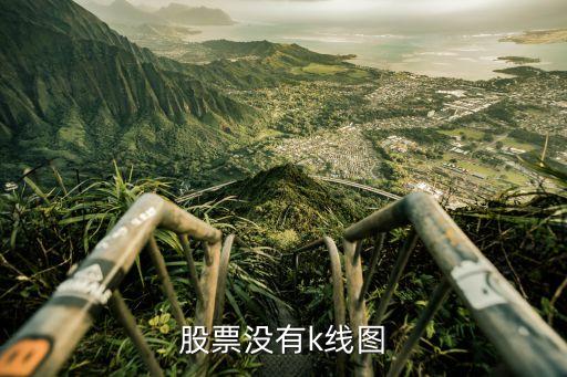 股票没有k线图