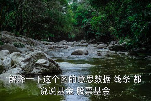 解释一下这个图的意思数据 线条 都说说基金 股票基金