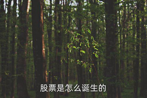 股票是怎么诞生的