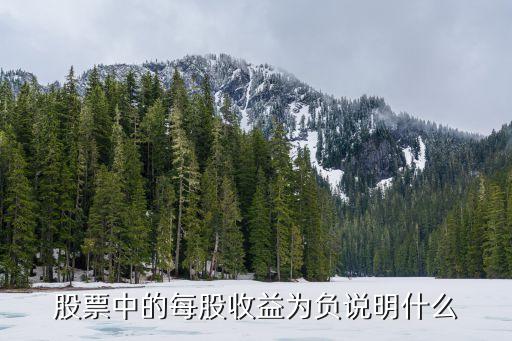 股票中的每股收益为负说明什么