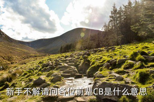 新手不解请问各位前辈CB是什么意思