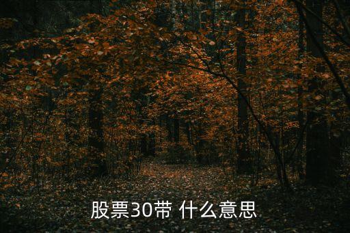股票30带 什么意思