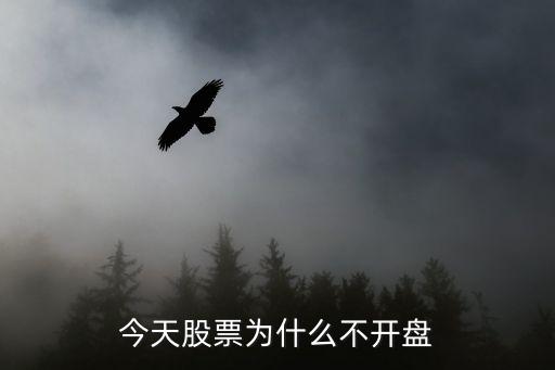 今天股票为什么不开盘