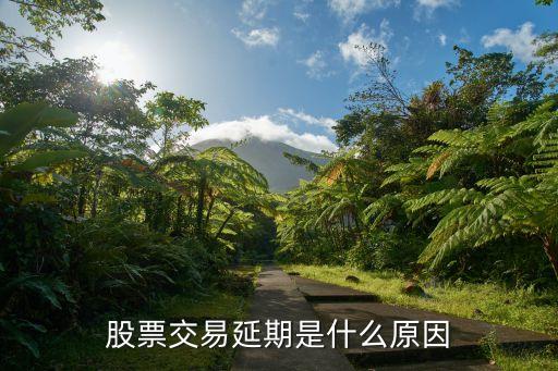 股票交易延期是什么原因