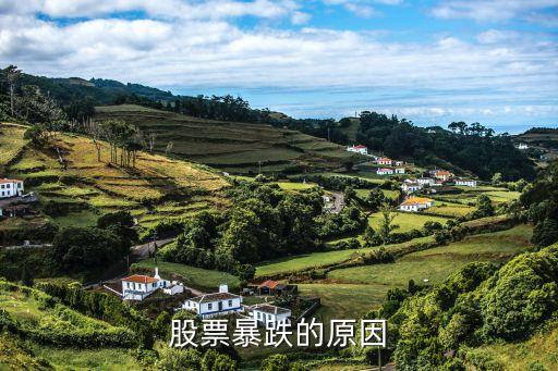 为什么股票突然会跌呢，为什么股票会跌