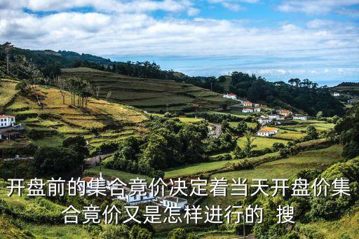 开盘前的集合竟价决定着当天开盘价集合竟价又是怎样进行的  搜