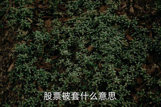 股票被套什么意思