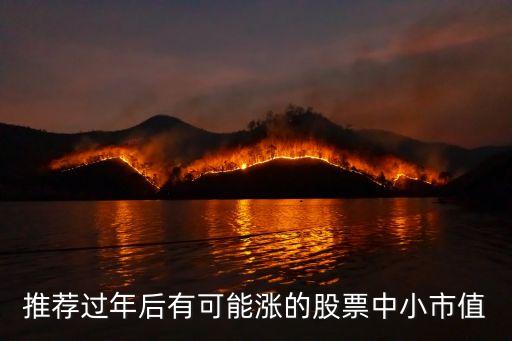 推荐过年后有可能涨的股票中小市值