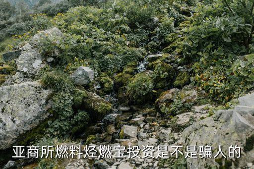 亚商所燃料烃燃宝投资是不是骗人的