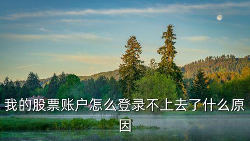 股票帐户为什么打不开了，我股票账户什么登不上了