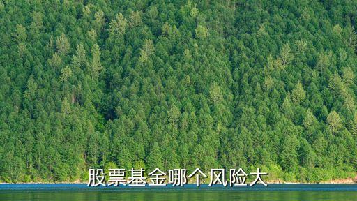股票基金哪个风险大
