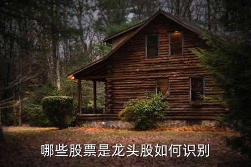 哪些股票是龙头股如何识别