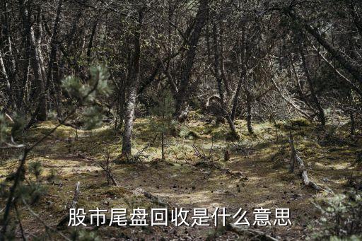 股市尾盘回收是什么意思
