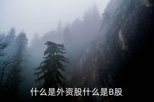 什么是外资股什么是B股