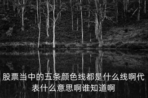 股票当中的五条颜色线都是什么线啊代表什么意思啊谁知道啊