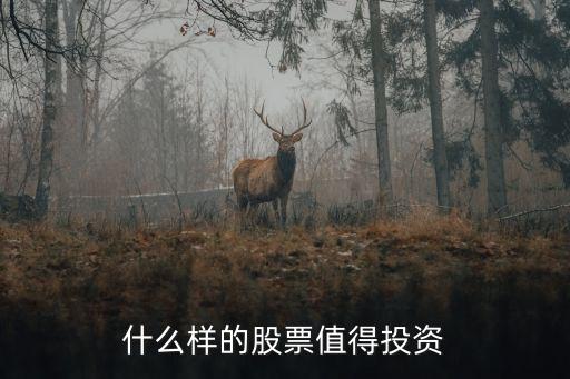 什么样的股票值得投资