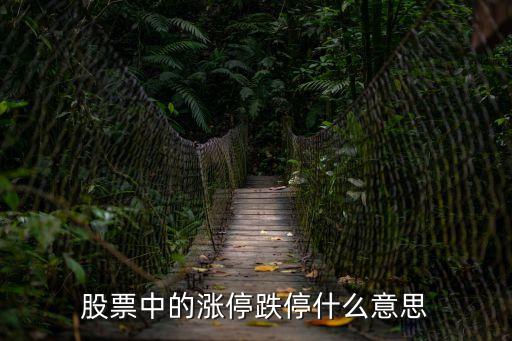 股票中的涨停跌停什么意思