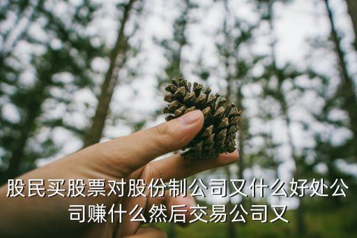 股民买股票对股份制公司又什么好处公司赚什么然后交易公司又