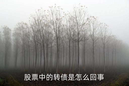 什么是股票转债上市时间，发债股中签后多久上市