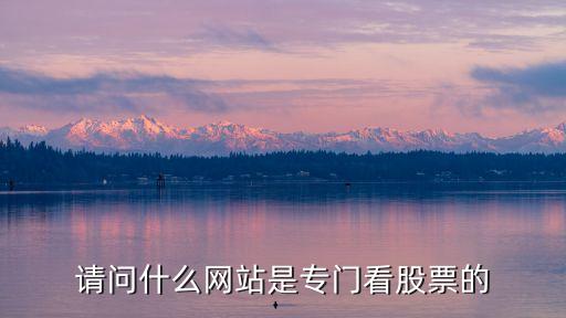请问什么网站是专门看股票的