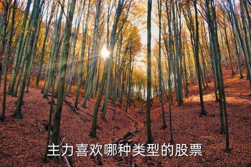 主力喜欢哪种类型的股票