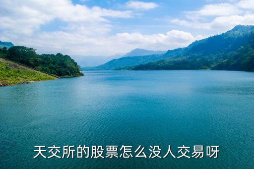 为什么没人买天选股票，天交所的股票怎么没人交易呀