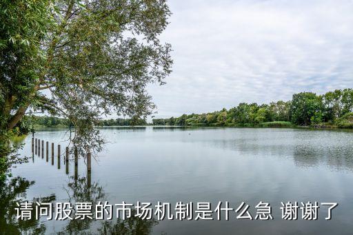 请问股票的市场机制是什么急 谢谢了