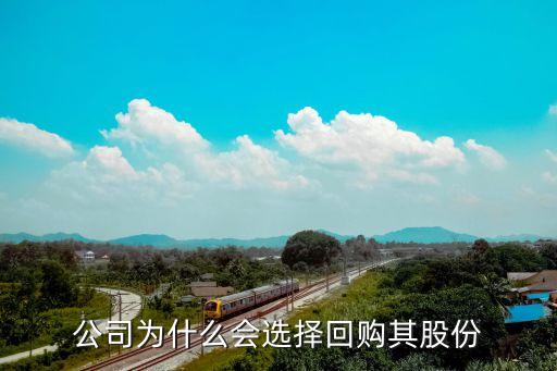 公司为什么会股份回购股票，股票回购的动因有哪些