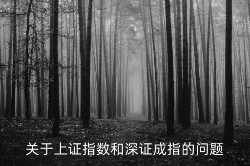 关于上证指数和深证成指的问题