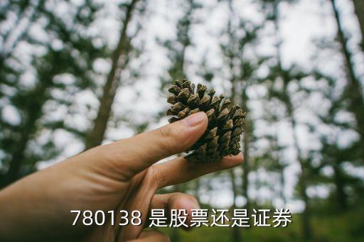 780138 是股票还是证券
