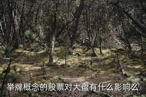 举牌概念的股票对大盘有什么影响么
