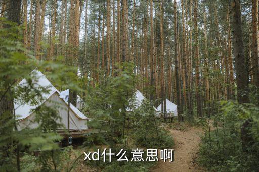 xd什么意思啊