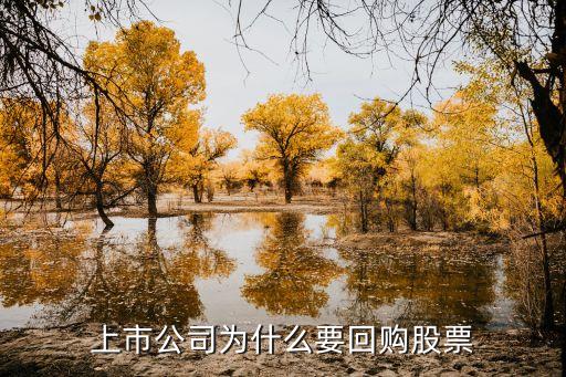 为什么股票回购，如何理解股票回购及其动因