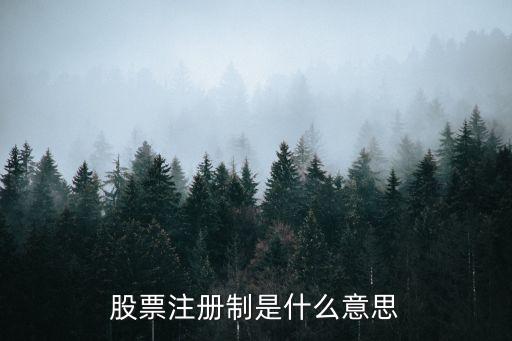股票注册制是什么意思