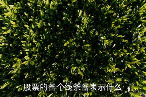 股票的各个线条各表示什么
