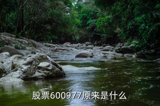 股票600977原来是什么