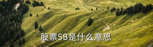 股票SB是什么意思