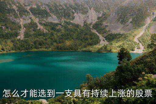 怎么才能选到一支具有持续上涨的股票