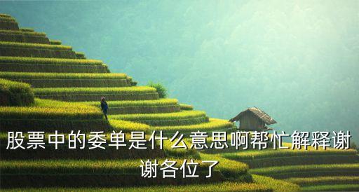 股票中的委单是什么意思啊帮忙解释谢谢各位了
