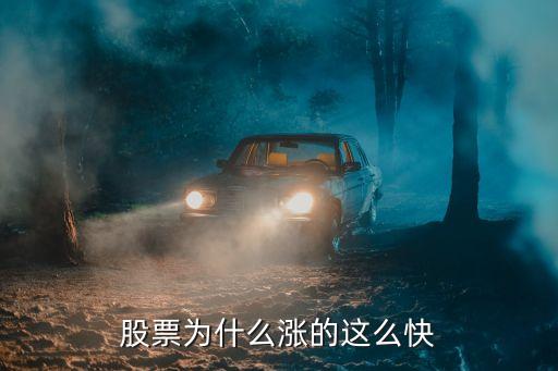 股票为什么涨的这么快