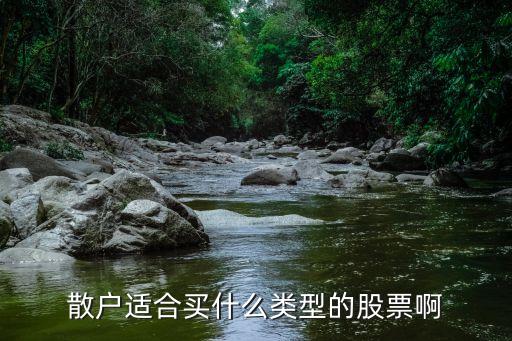 散户适合买什么类型的股票啊