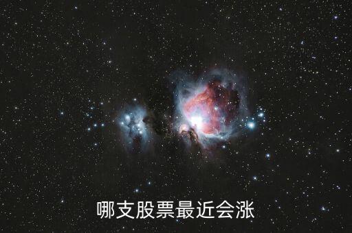 今年可能有什么股票上涨，哪些股票今年可以上涨