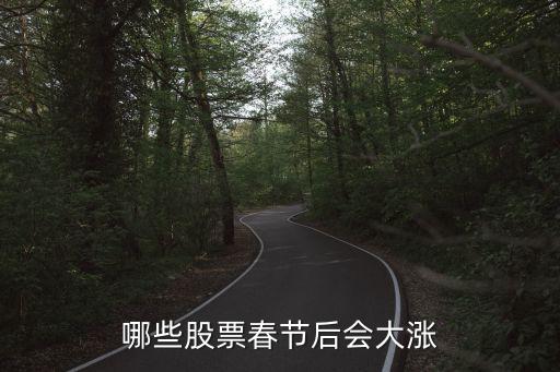 哪些股票春节后会大涨