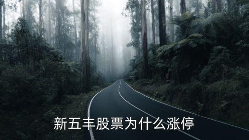 新五丰股票是什么公司，新丰伍股票代码是多少